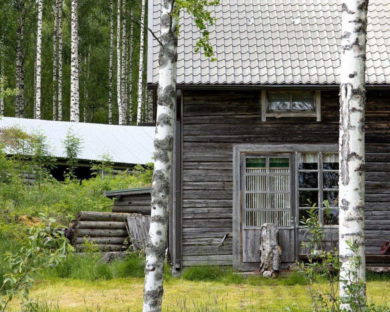 Tarina-Aho Bed & Breakfast Vuonislahti ภายนอก รูปภาพ